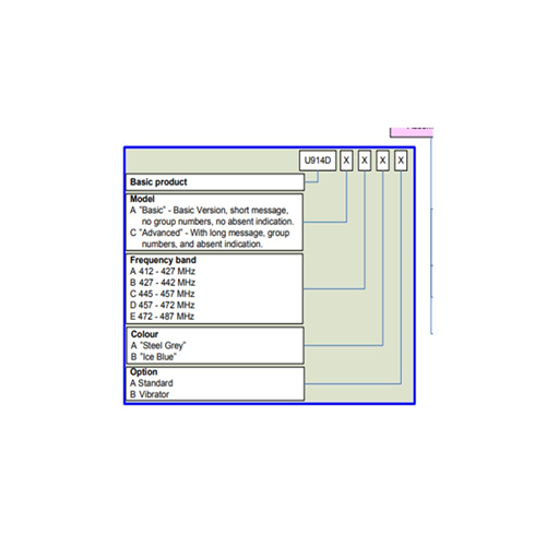 PAGER ADVANCED D St.grey VIB