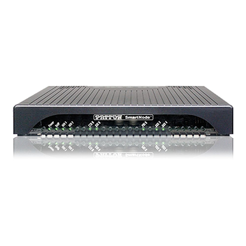 Patton VoIP GW 2 E1/T1 PRI, 30 VoIP Calls